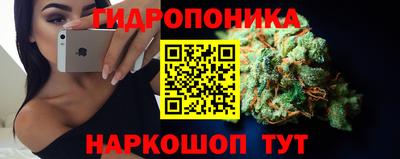 молекула духа Обнинск