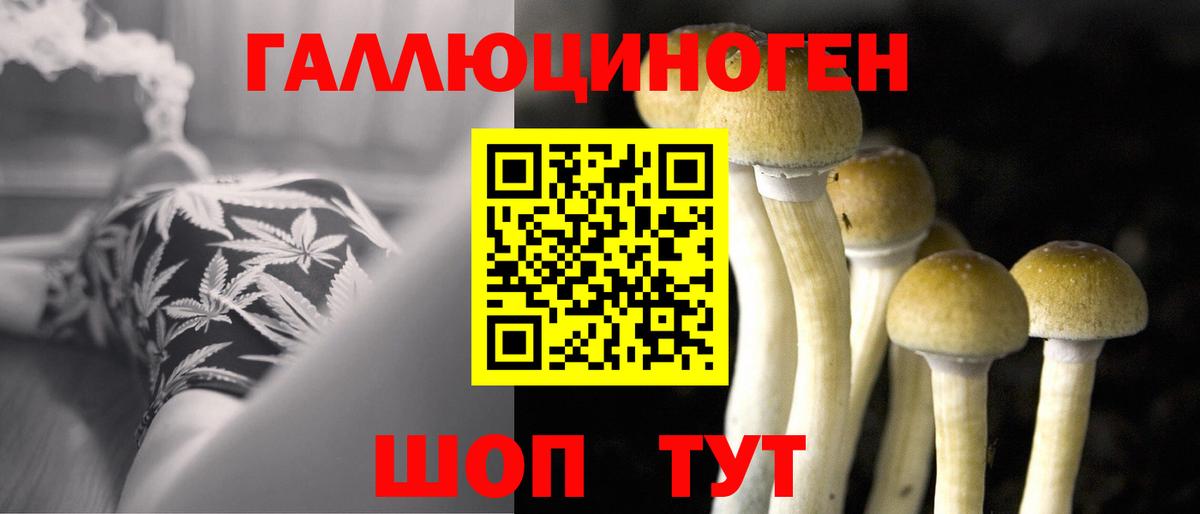 Сибай  Псилоцибиновые грибы Magic Shrooms  Вход с VPN 